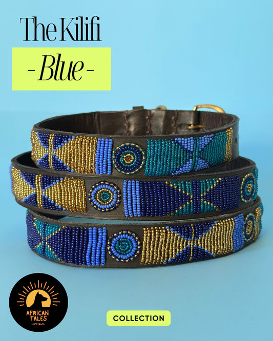 Kilifi Blue Collar X Large