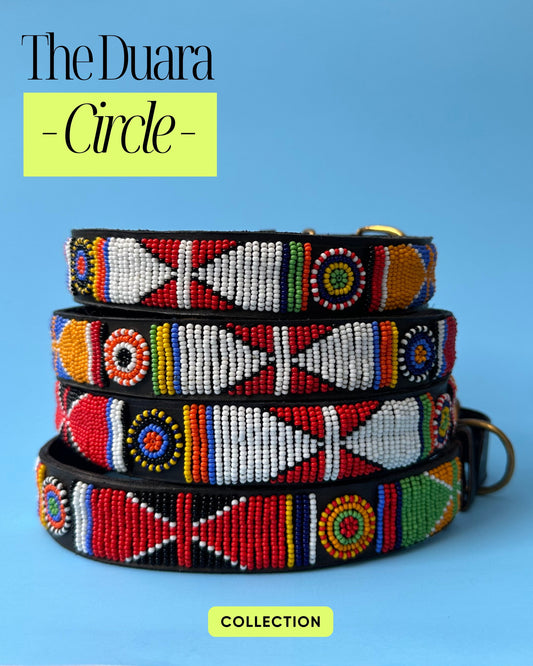 Duara Circle Collar X  Large